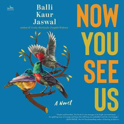 Now You See Us: A Novel Audibook, by Balli Kaur Jaswal