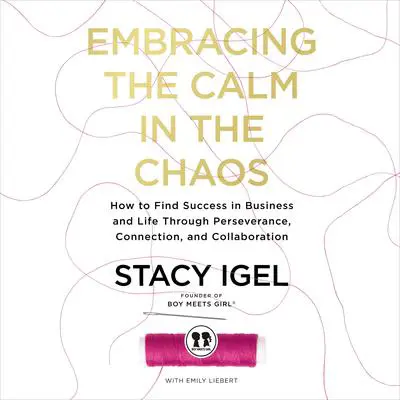 Embracing the Calm in the Chaos: How to Find Success in Business and Life Through Perseverance, Connection, and Collaboration Audibook, by Stacy Igel