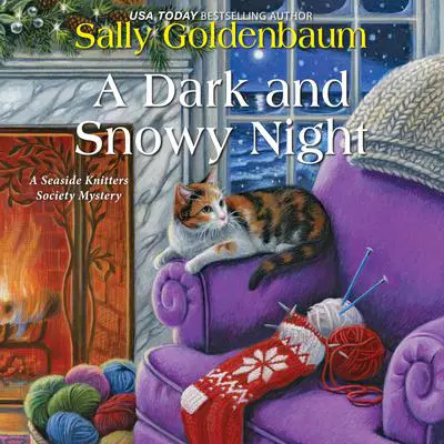 A Dark and Snowy Night Audibook, by Sally Goldenbaum