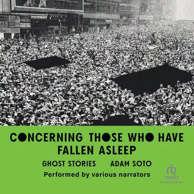 Concerning Those Who Have Fallen Asleep: Ghost Stories Audibook, by Adam Soto