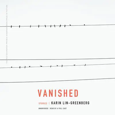 Vanished: Stories Audibook, by Karin Lin-Greenberg