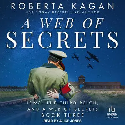 A Web of Secrets Audibook, by Roberta Kagan