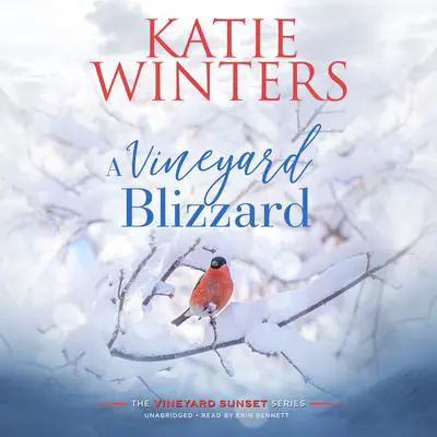 A Vineyard Blizzard Audibook, by Katie Winters