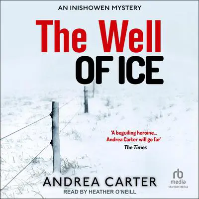 The Well of Ice Audibook, by Andrea Carter