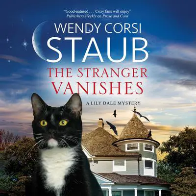 The Stranger Vanishes Audibook, by Wendy Corsi Staub