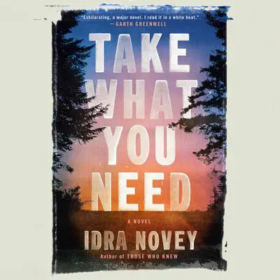 Take What You Need: A Novel Audibook, by Idra Novey