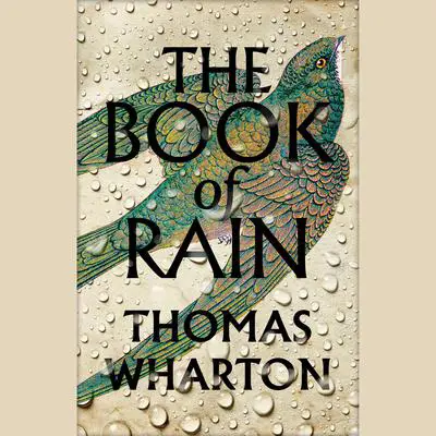 The Book of Rain: A Novel Audibook, by Thomas Wharton