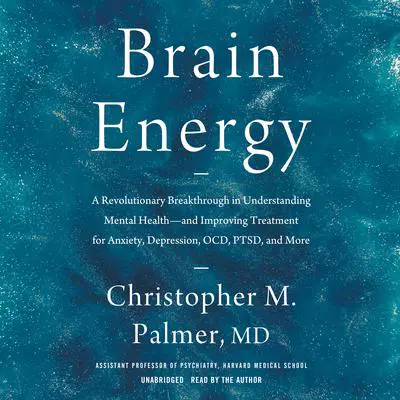Brain Energy: A Revolutionary Breakthrough in Understanding Mental Health—and Improving Treatment for Anxiety, Depression, OCD, PTSD, and More Audibook, by Christopher M. Palmer
