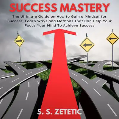 Success Mastery Audibook, by S. S. Zetetic