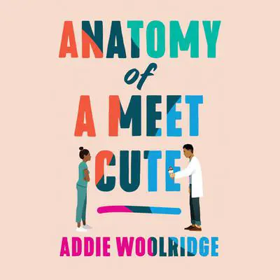 Anatomy of a Meet Cute Audibook, by Addie Woolridge