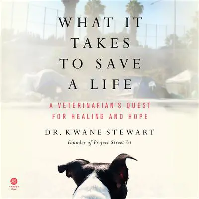 What It Takes to Save a Life: A Veterinarian’s Quest for Healing and Hope Audibook, by Kwane Stewart
