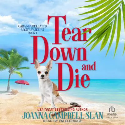 Tear Down and Die Audibook, by Joanna Campbell Slan
