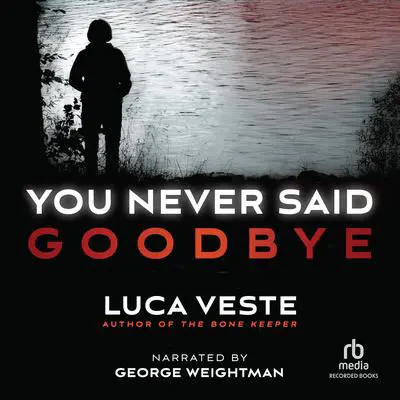 You Never Said Goodbye Audibook, by Luca Veste