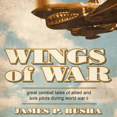 Wings of War: Great Combat Tales of Allied and Axis Pilots During World War II Audibook, by James P. Busha