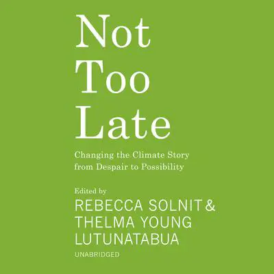 Not Too Late: Changing the Climate Story from Despair to Possibility Audibook, by various authors