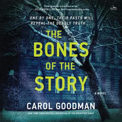 The Bones of the Story: A Novel Audibook, by Carol Goodman