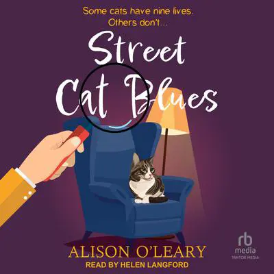 Street Cat Blues Audibook, by Alison O’Leary