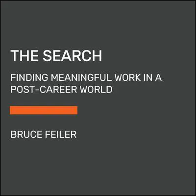 The Search: Finding Meaningful Work in a Post-Career World Audibook, by Bruce Feiler