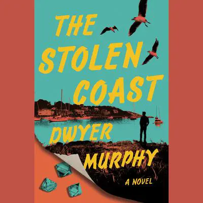 The Stolen Coast: A Novel Audibook, by Dwyer Murphy