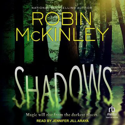 Shadows Audibook, by Robin McKinley