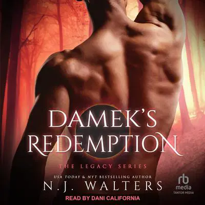 Damek’s Redemption Audibook, by N.J. Walters