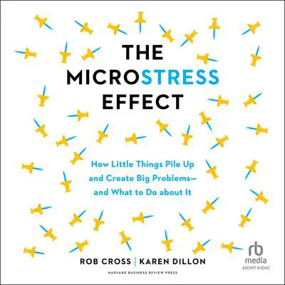 The Microstress Effect: How Little Things Pile Up and Create Big Problems—and What to Do about It Audibook, by Karen Dillon