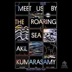 Meet Us by the Roaring Sea: A Novel Audibook, by Akil Kumarasamy