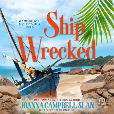 Ship Wrecked Audibook, by Joanna Campbell Slan