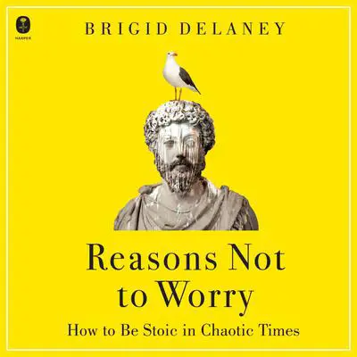 Reasons Not to Worry: How to Be Stoic in Chaotic Times Audibook, by Brigid Delaney