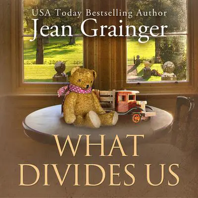 What Divides Us: The Kilteegan Bridge Story Audibook, by Jean Grainger