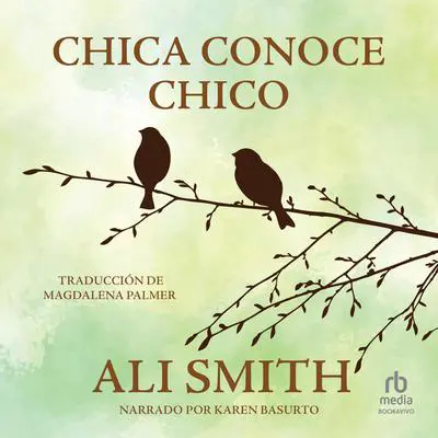 Chica conoce chico Audibook, by Ali Smith