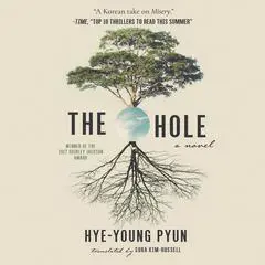 The Hole Audibook, by Hye-Young Pyun