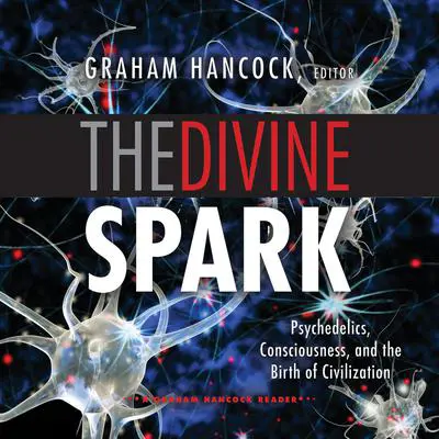 The Divine Spark: A Graham Hancock Reader: Psychedelics, Consciousness, and the Birth of Civilization Audibook, by Graham Hancock