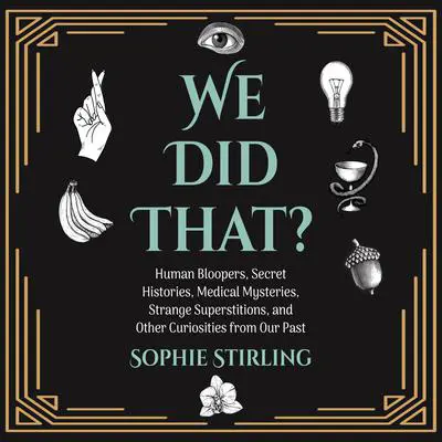 We Did That? Audibook, by Sophie Stirling