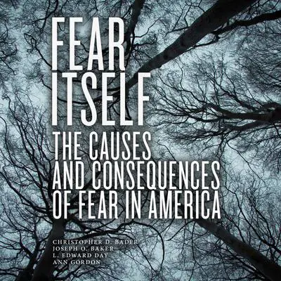 Fear Itself: The Causes and Consequences of Fear in America Audibook, by Christopher D. Bader