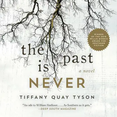 The Past Is Never: A Novel Audibook, by Tiffany Quay Tyson