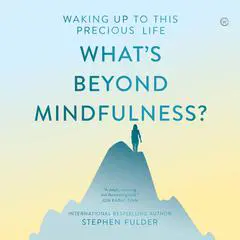 What's Beyond Mindfulness?: Waking Up to this Precious Life Audibook, by Stephen Fulder