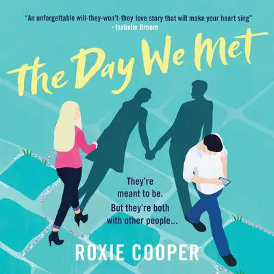 The Day We Met Audibook, by Roxie Cooper