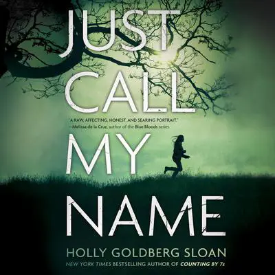 Just Call My Name Audibook, by Holly Goldberg Sloan