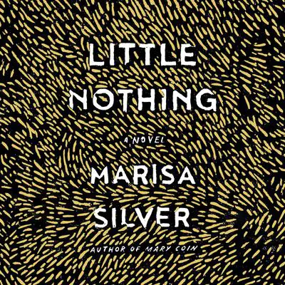 Little Nothing: A Novel Audibook, by Marisa Silver