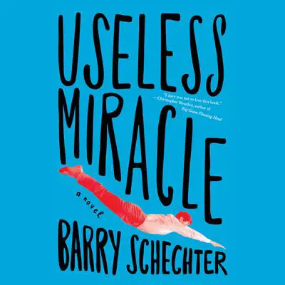 Useless Miracle Audibook, by Barry Schechter