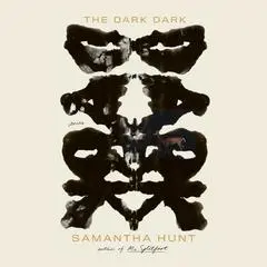 The Dark Dark: Stories Audibook, by Samantha Hunt
