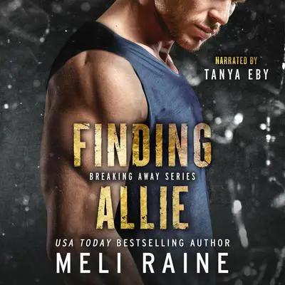 Finding Allie Audibook, by Meli Raine