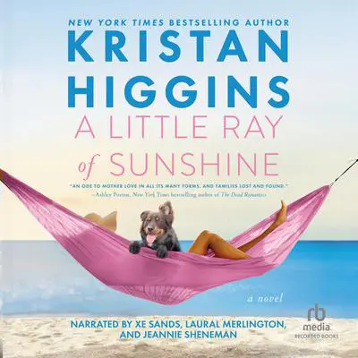 A Little Ray of Sunshine Audibook, by Kristan Higgins