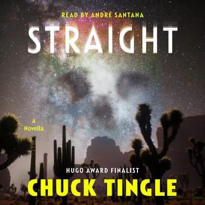 Straight Audibook, by Chuck Tingle
