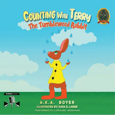 Counting With Terry Audibook, by A.K.A Boyer