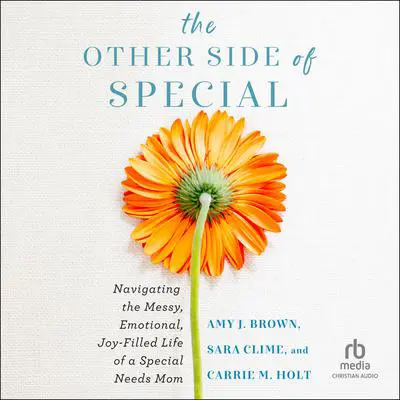 The Other Side of Special: Navigating the Messy, Emotional, Joy-Filled Life of a Special Needs Mom Audibook, by Amy J. Brown