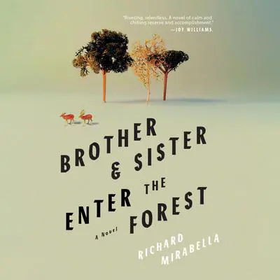 Brother & Sister Enter the Forest Audibook, by Richard Mirabella