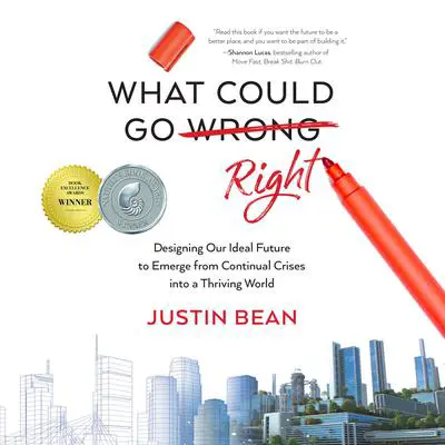 What Could Go Right Audibook, by Justin Bean