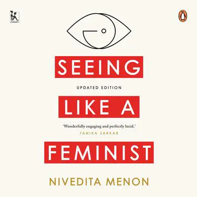 Seeing Like A Feminist Audibook, by Nivedita Menon